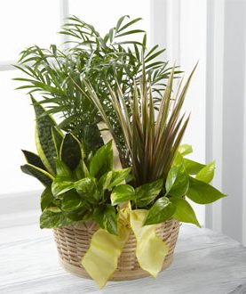 The FTD® French Garden™