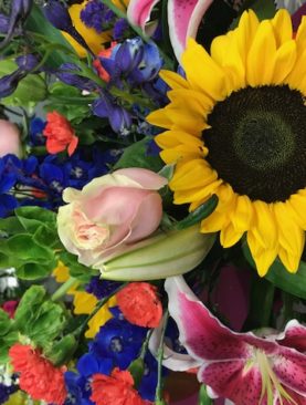 Father's Day Special