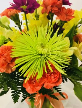 Sizzling Summer Special