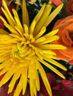 Celebrate Fall - Special