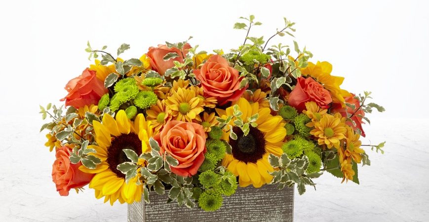 Fabulous Fall Flowers