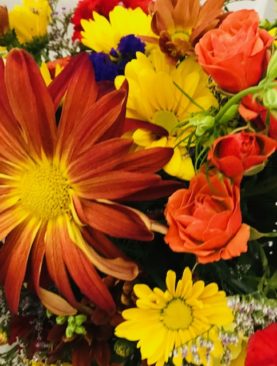 Awesome Autumn - Special