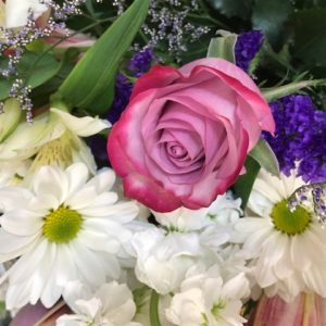 flowers, rose, daisy