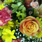 Spring is in the Air! - Special