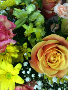 Spring is in the Air! - Special