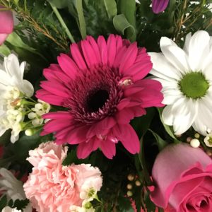 March Into Spring Designer Choice Special