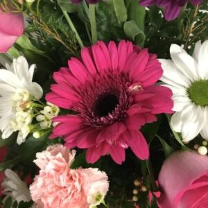 Cash and Carry Special