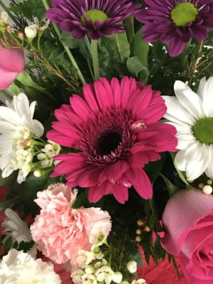 Cash & Carry Special