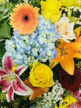 August Sunshine! Special