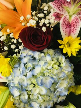 2024 Fresh Start Special!!!