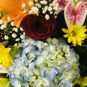 2024 Fresh Start Special!!!