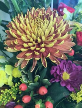 Autumn Blossom - Special