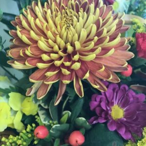 Autumn Blossom - Special