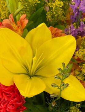 Summer Blooms - Special