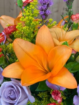 Fabulous Fall - Special