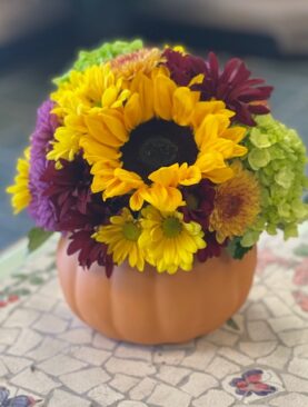 Fall Harvest - Special