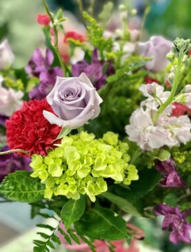 Mother's Day Special 2024