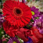 Lots of Love Special