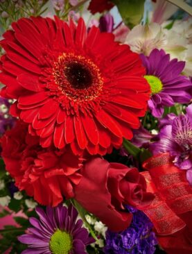 Lots of Love Special