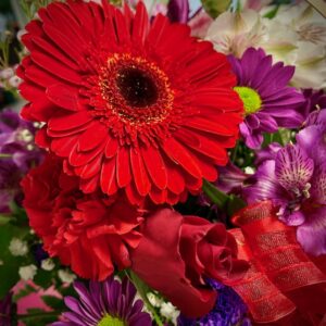 Lots of Love Special